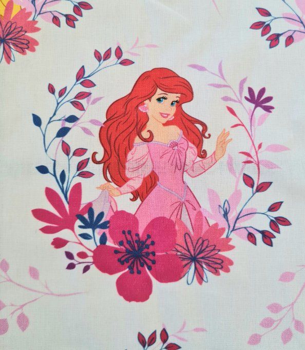 Tissu les Princesses
