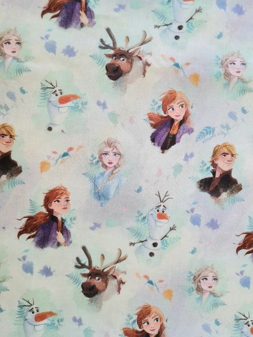 Tissu Reine des Neiges